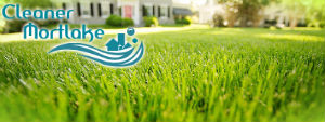 grass-cutting-services-mortlake