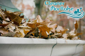 gutter-cleaners-mortlake